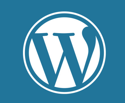 WordPress Installation Services.