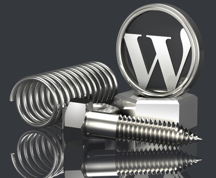 WordPress Professional Support