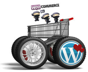 WooCommerce And WordPress Support.